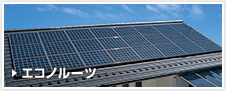 エコノルーツ